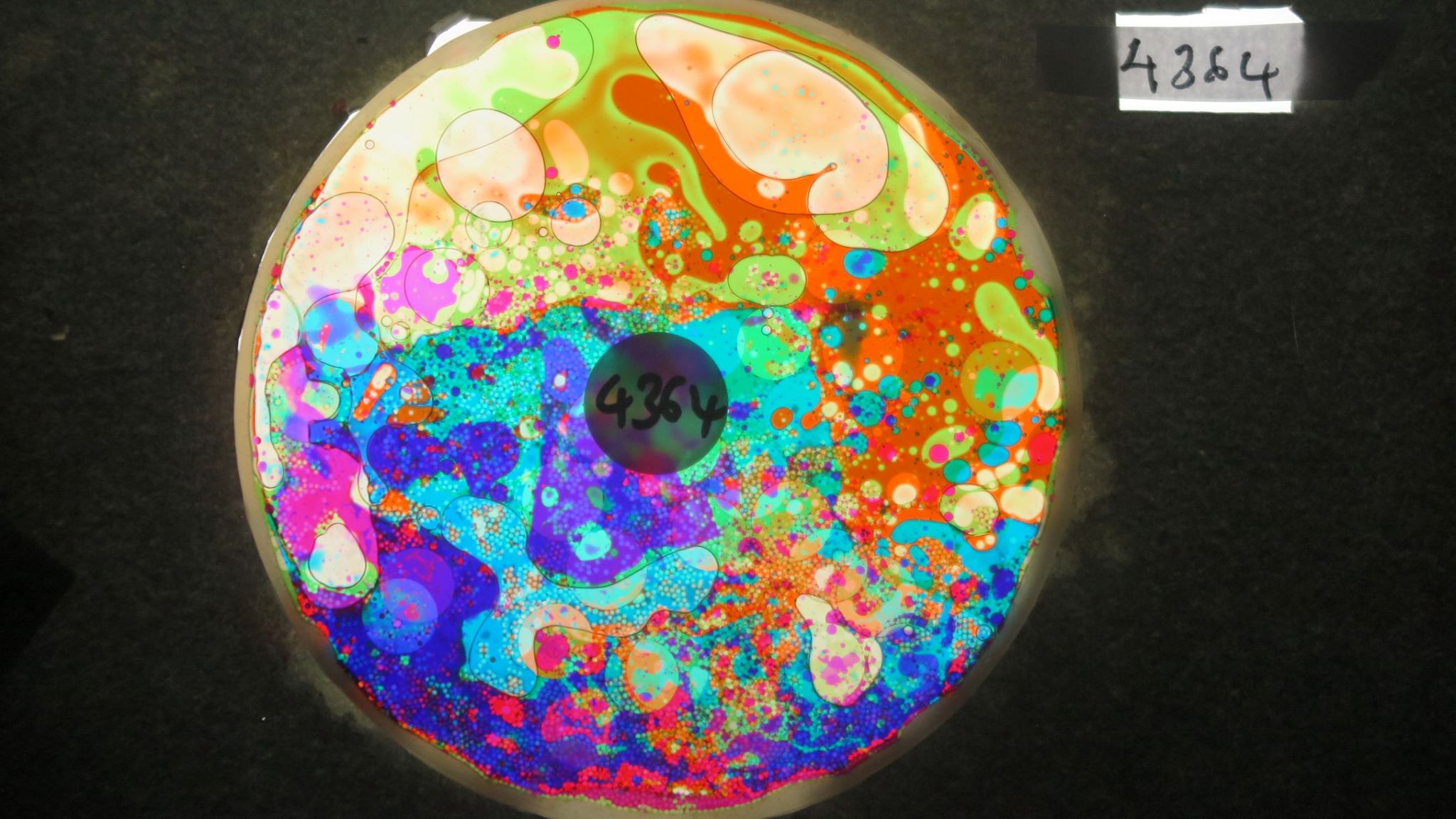 BV4364 bubble vision oil wheel